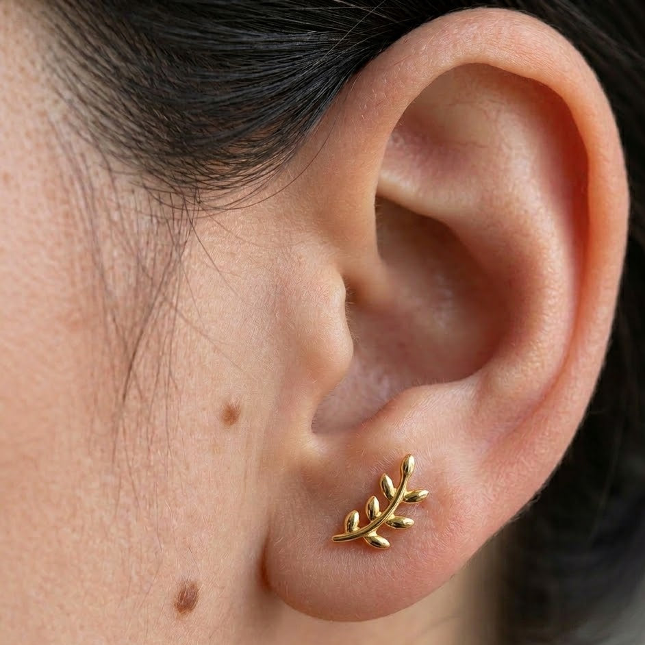 Labret de aur „Ramură de măslin aurie”