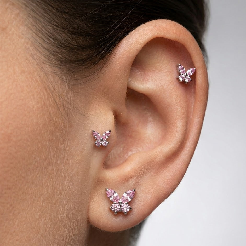 Ružový motýľ 'Titanium'