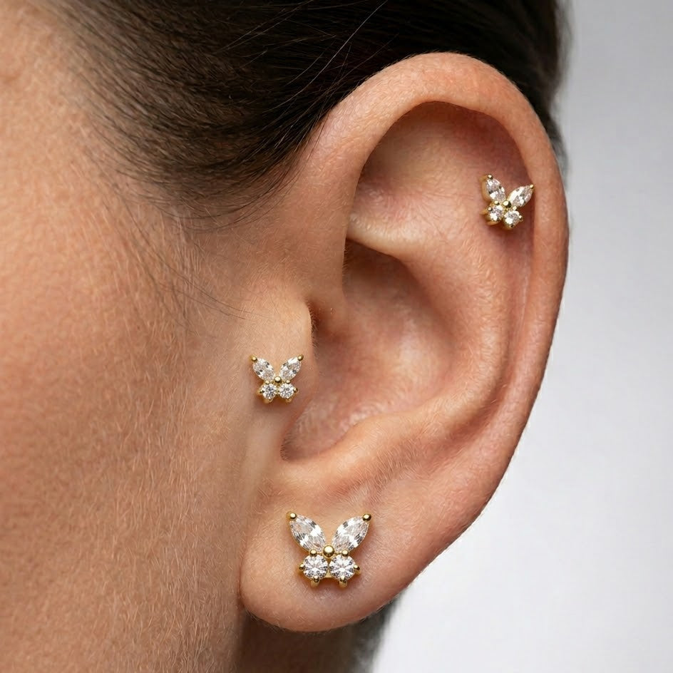 Zlatý Motýľ 'Titanium'