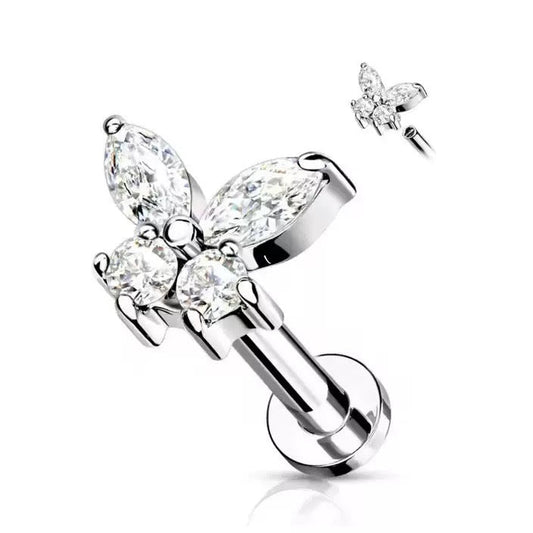 Iskrivý motýľ 'Titanium'