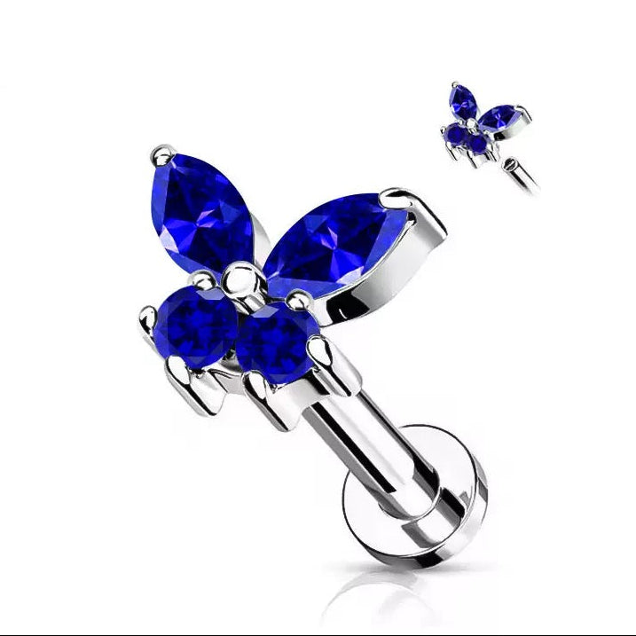 Modrý Motýľ 'Titanium'