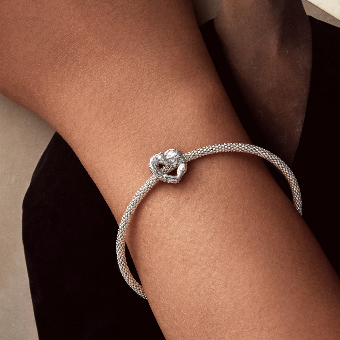 Dievča a kôň v srdci