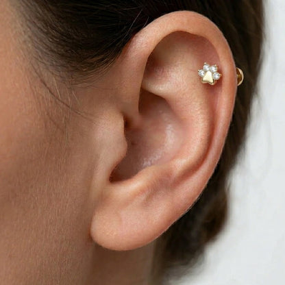 Piercing de aur „Lăbuță sclipitoare”