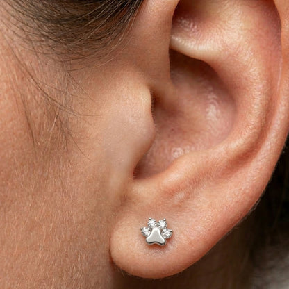 Labret din argint „Crystal Paw”