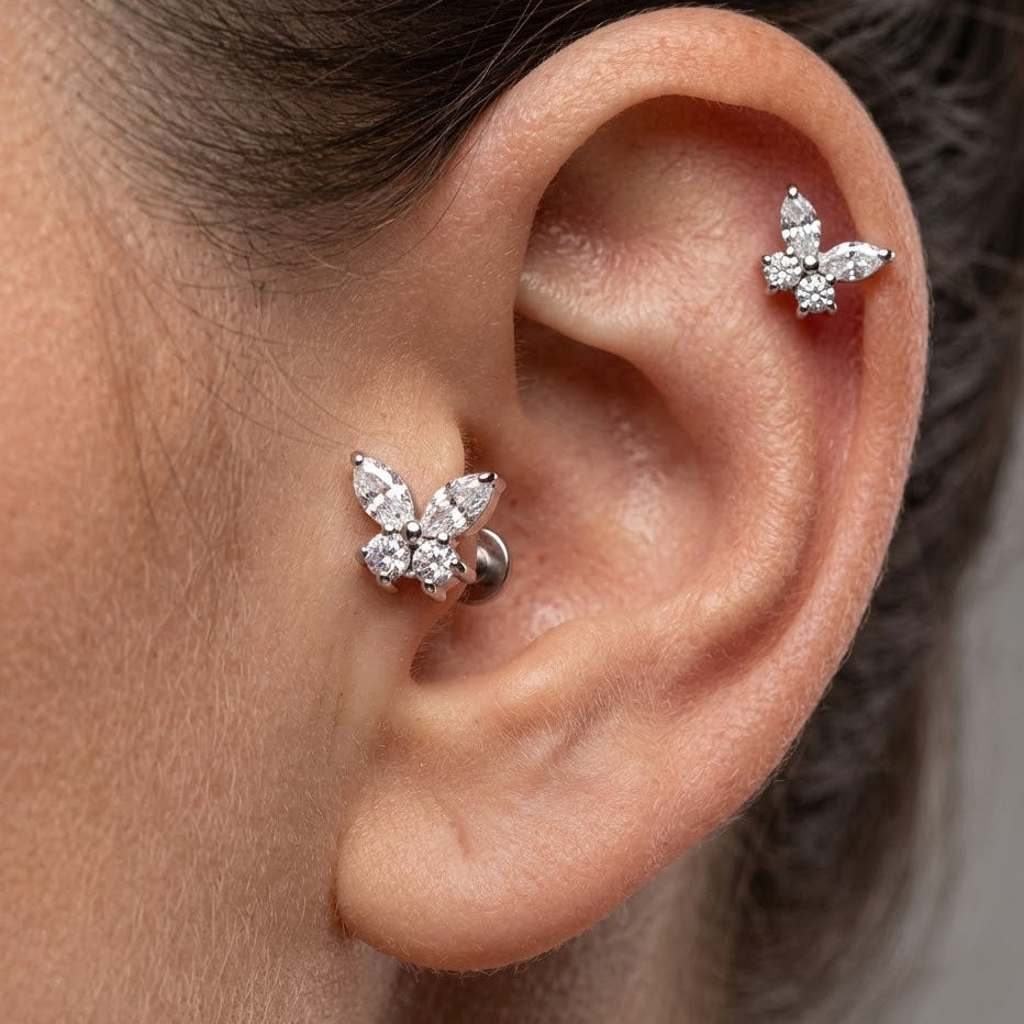 Iskrivý motýľ 'Titanium'