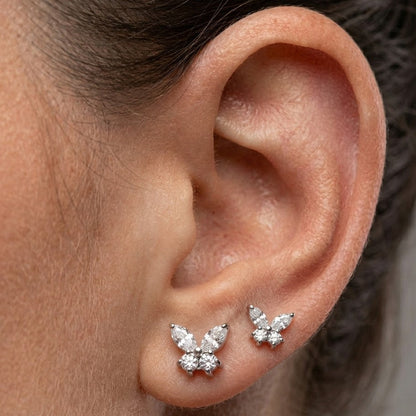 Iskrivý motýľ 'Titanium'