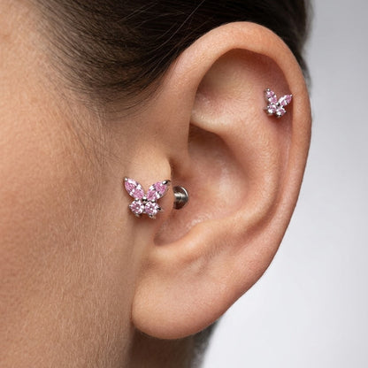 Ružový motýľ 'Titanium'