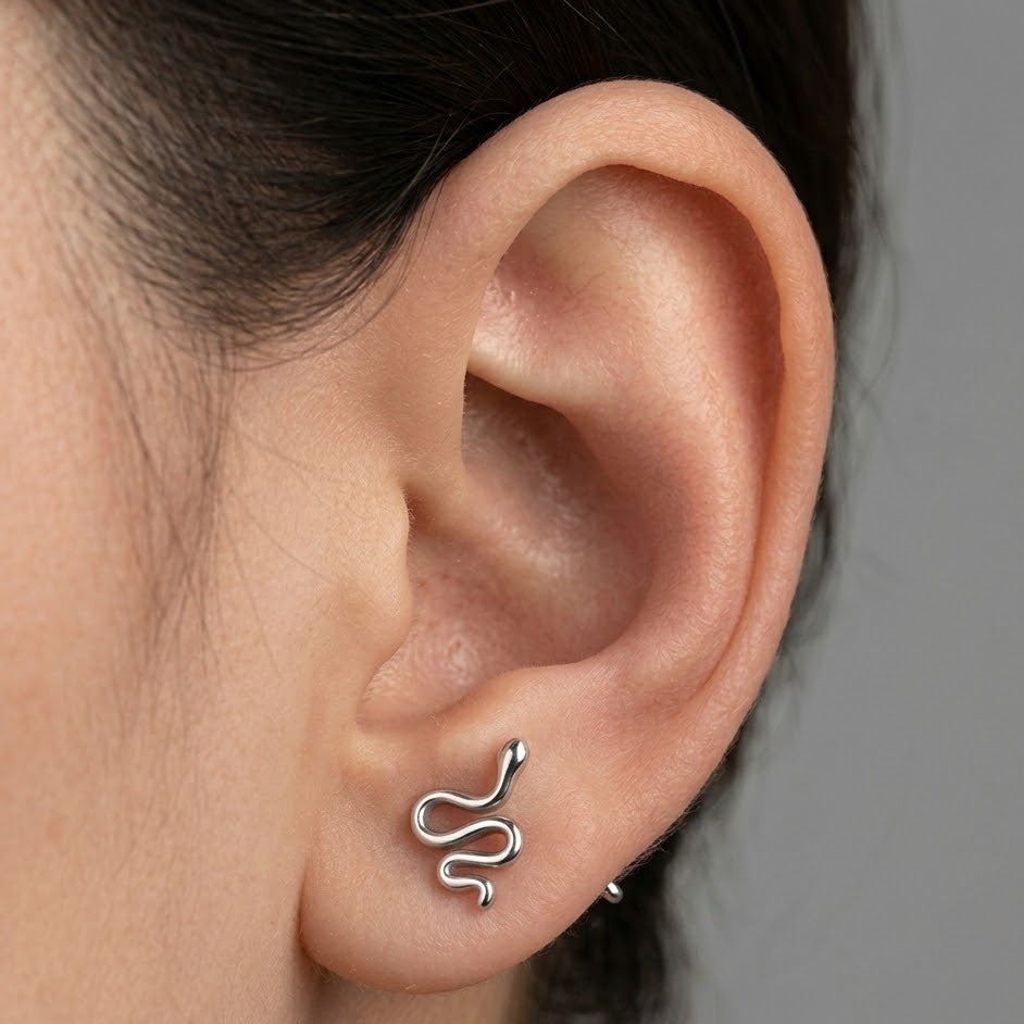 Minimalistický Had 'Titanium'