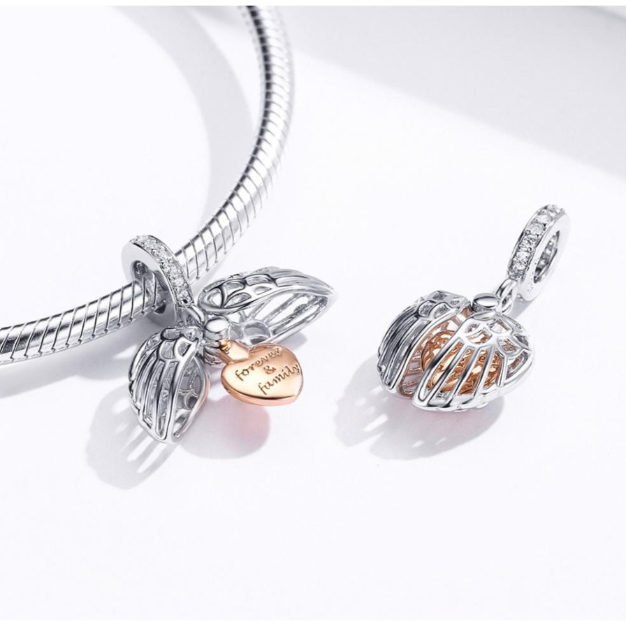 karoliukas Visam laikui Šeima